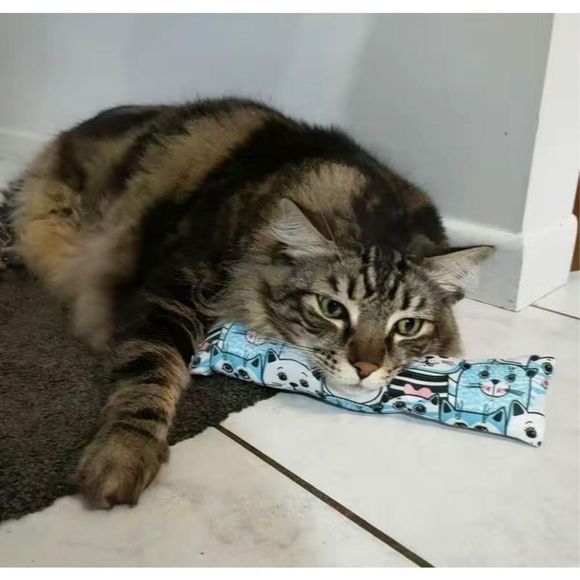 NEW Two Pack of Cute Cartoon Large Catnip Pillow Cat Toys — NWT - Picture 3 of 9